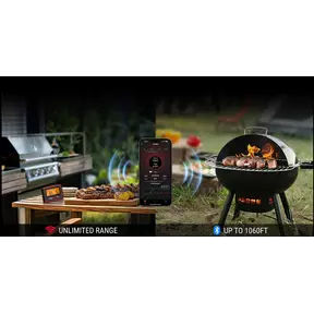 ThermoPro TP980 TempSpike Pro Wi-Fi vleesthermometer - 1 sonde