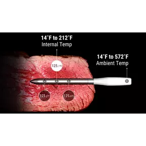 ThermoPro TP980 TempSpike Pro Wi-Fi vleesthermometer - 1 sonde
